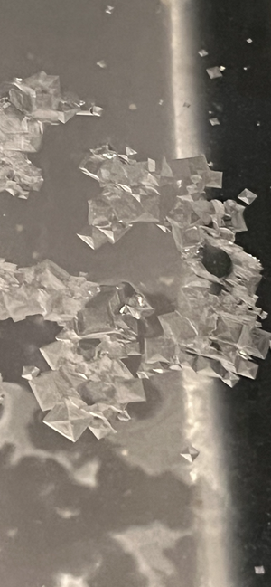 Hand Harvested Flaky Sea Salt